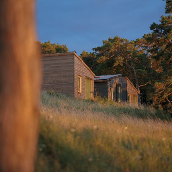 Vidhave Gotland