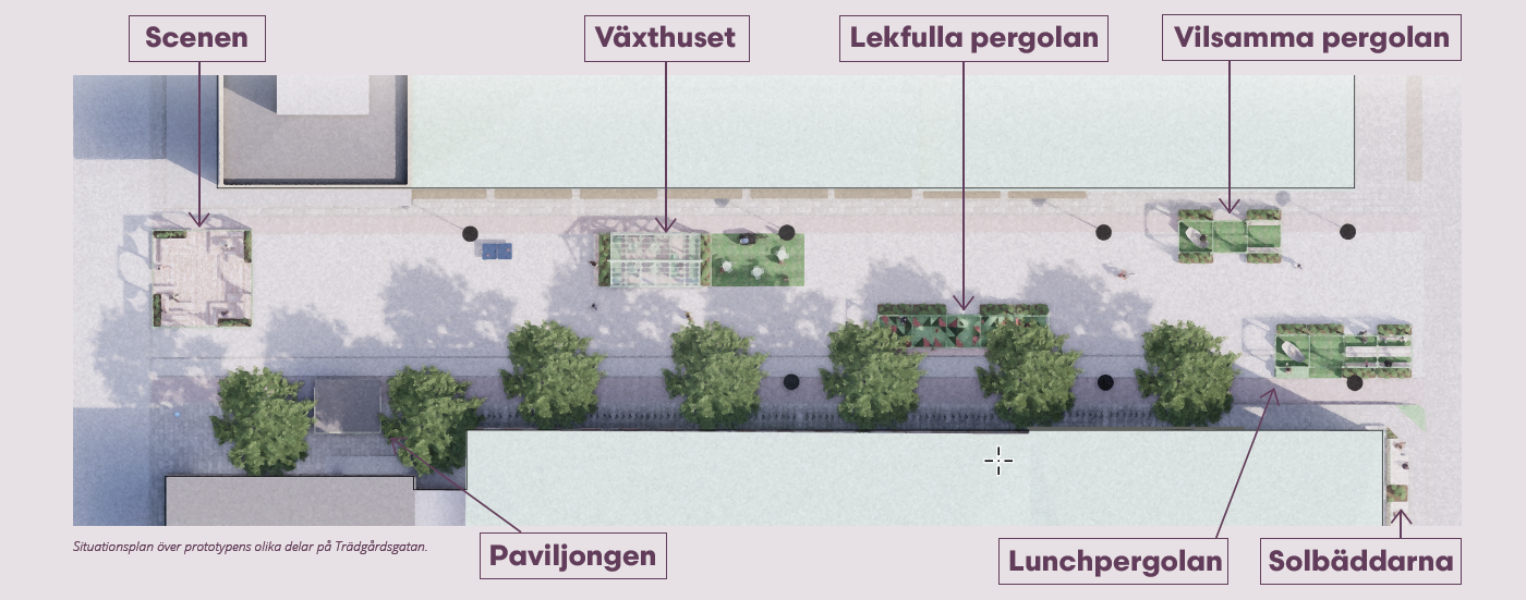 Trädgårdsgatan Skellefteå